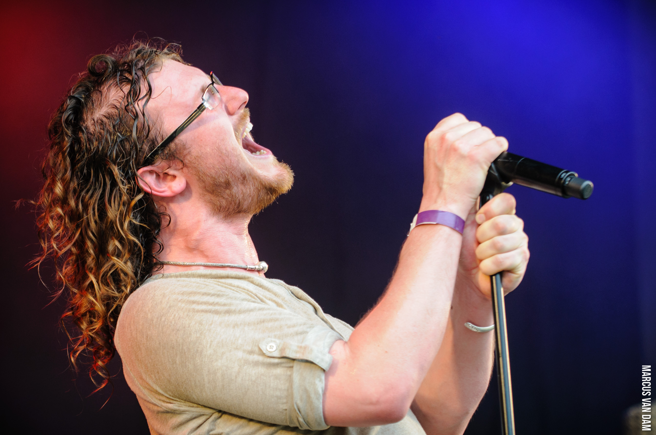 Beeckestijnpop (2014)