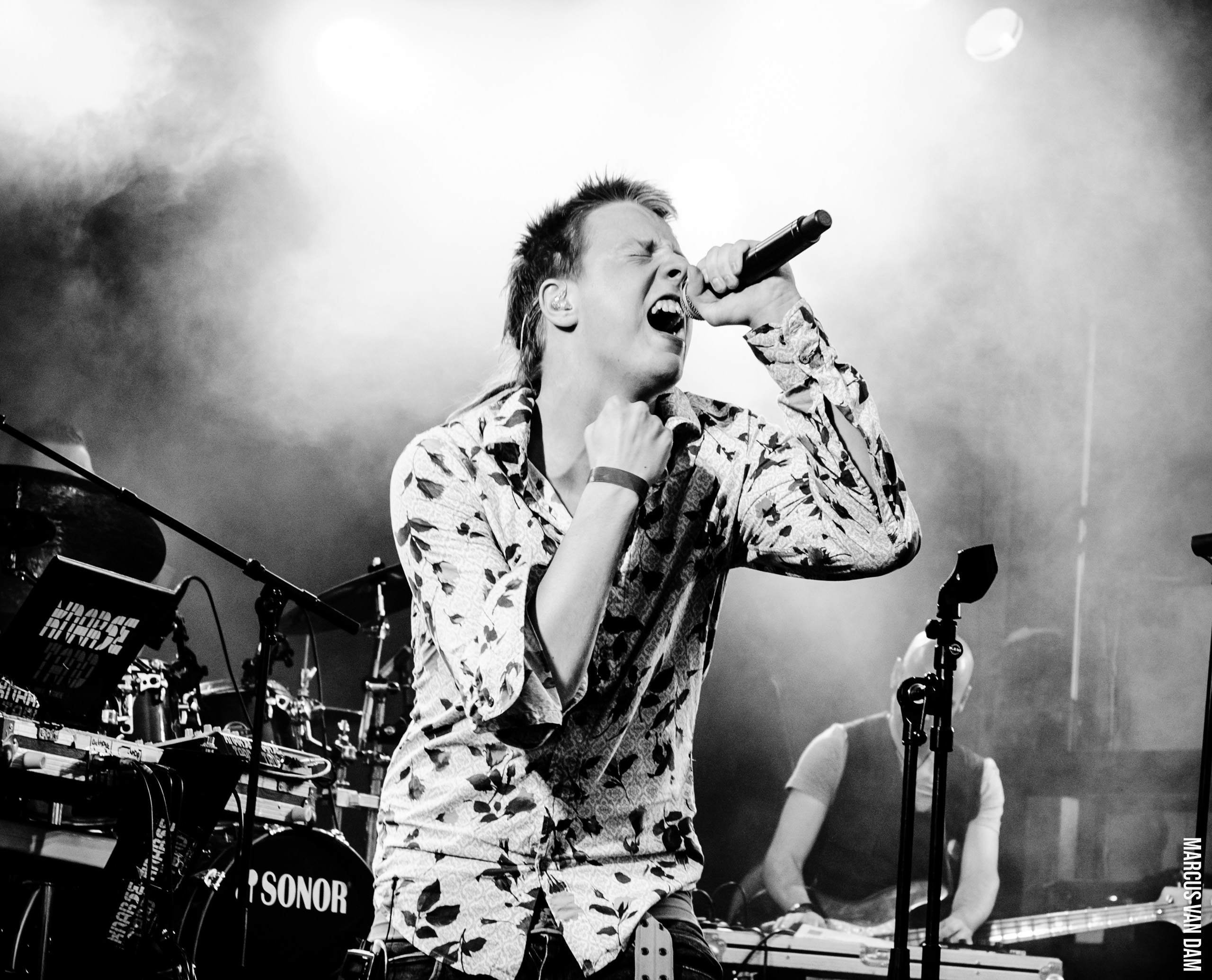 Beeckestijnpop (2014)