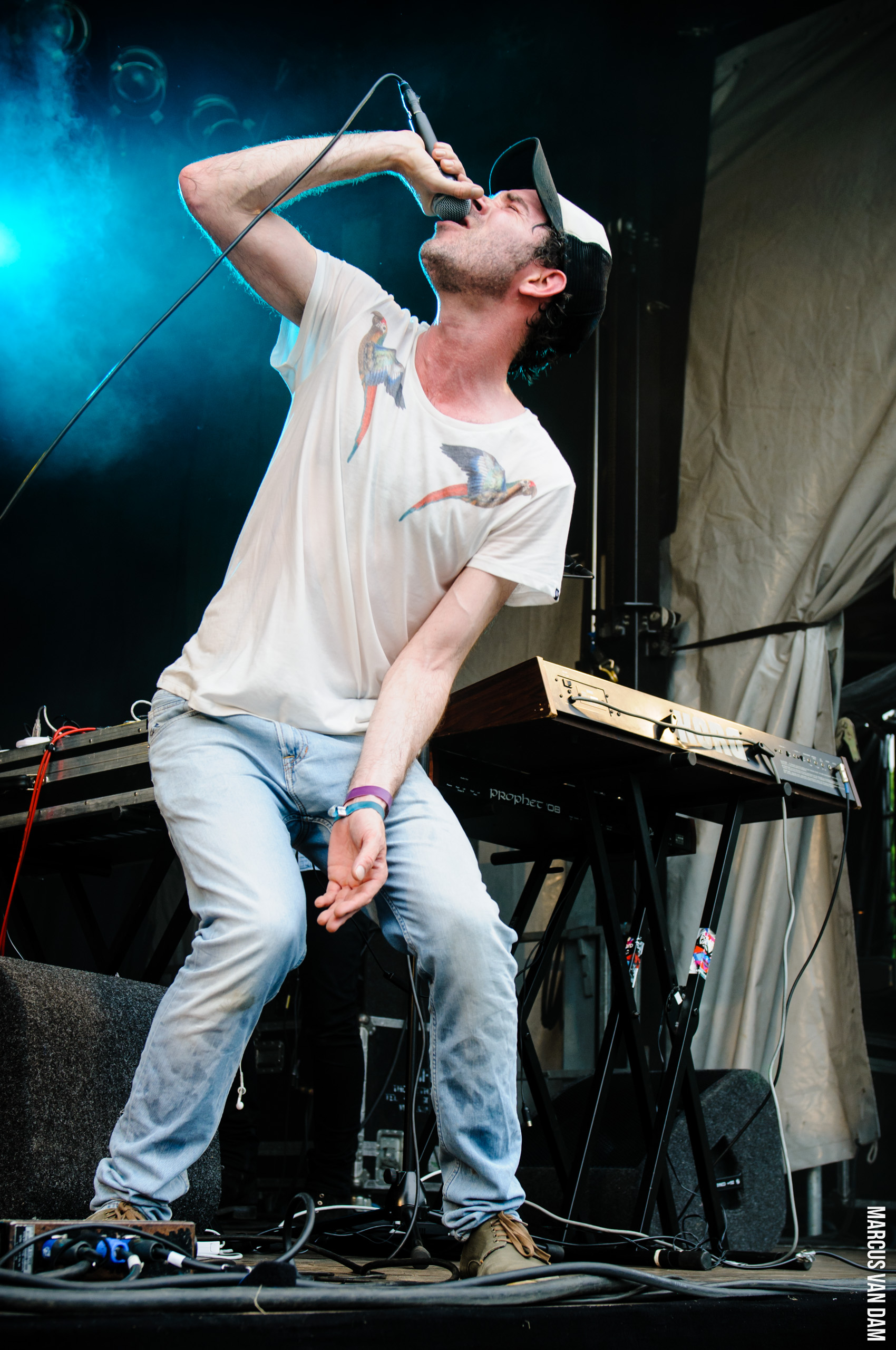 Beeckestijnpop (2014)