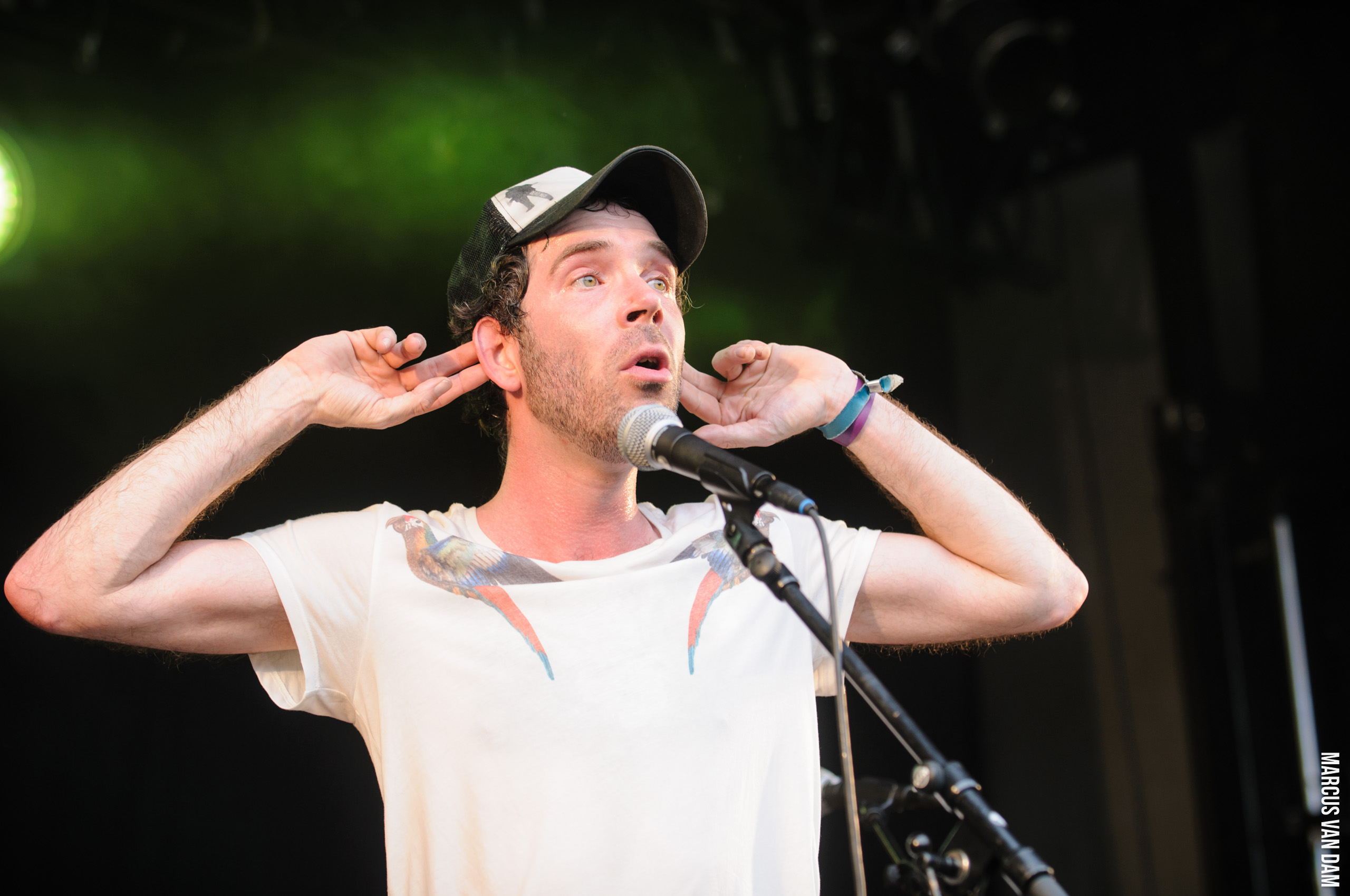 Beeckestijnpop (2014)