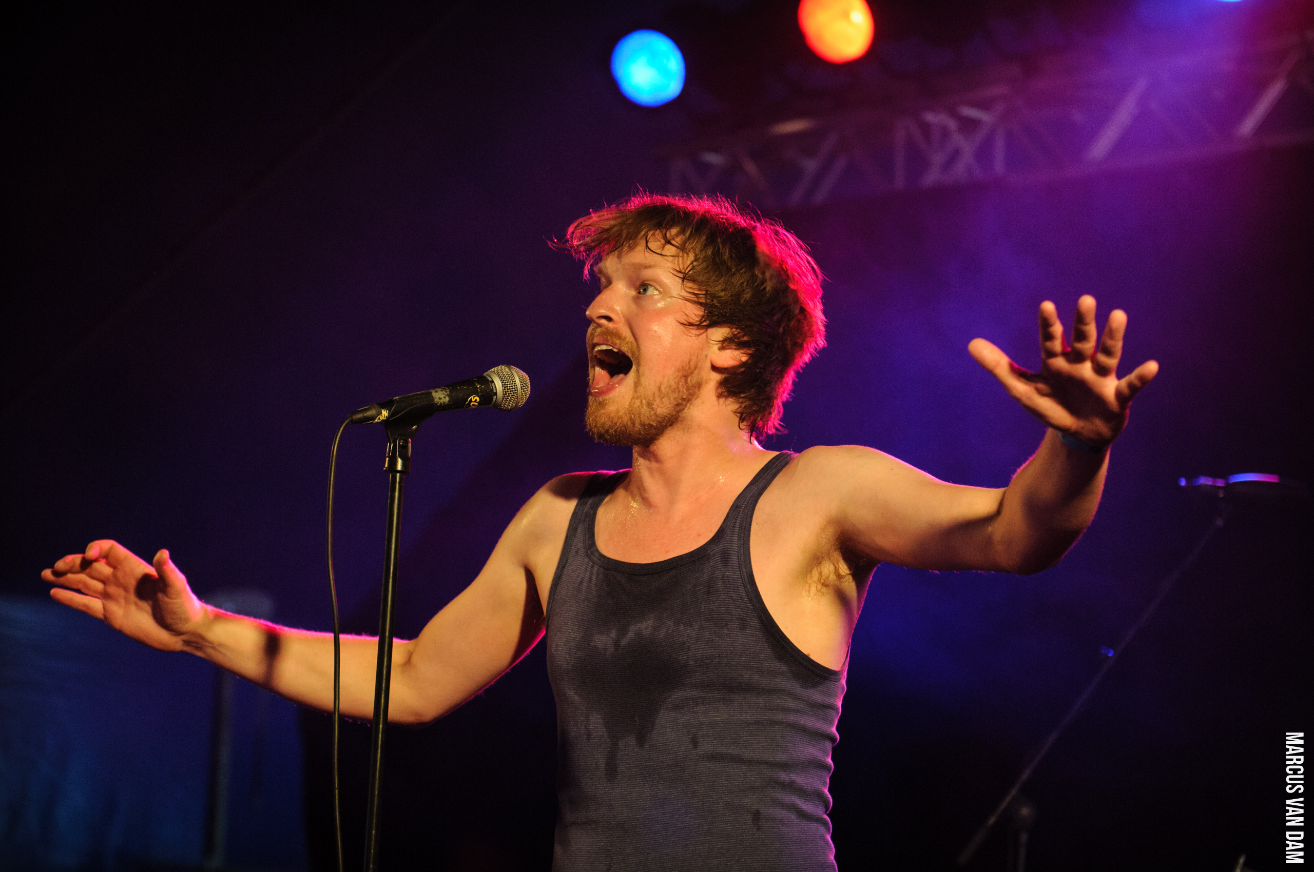 Beeckestijnpop (2014)