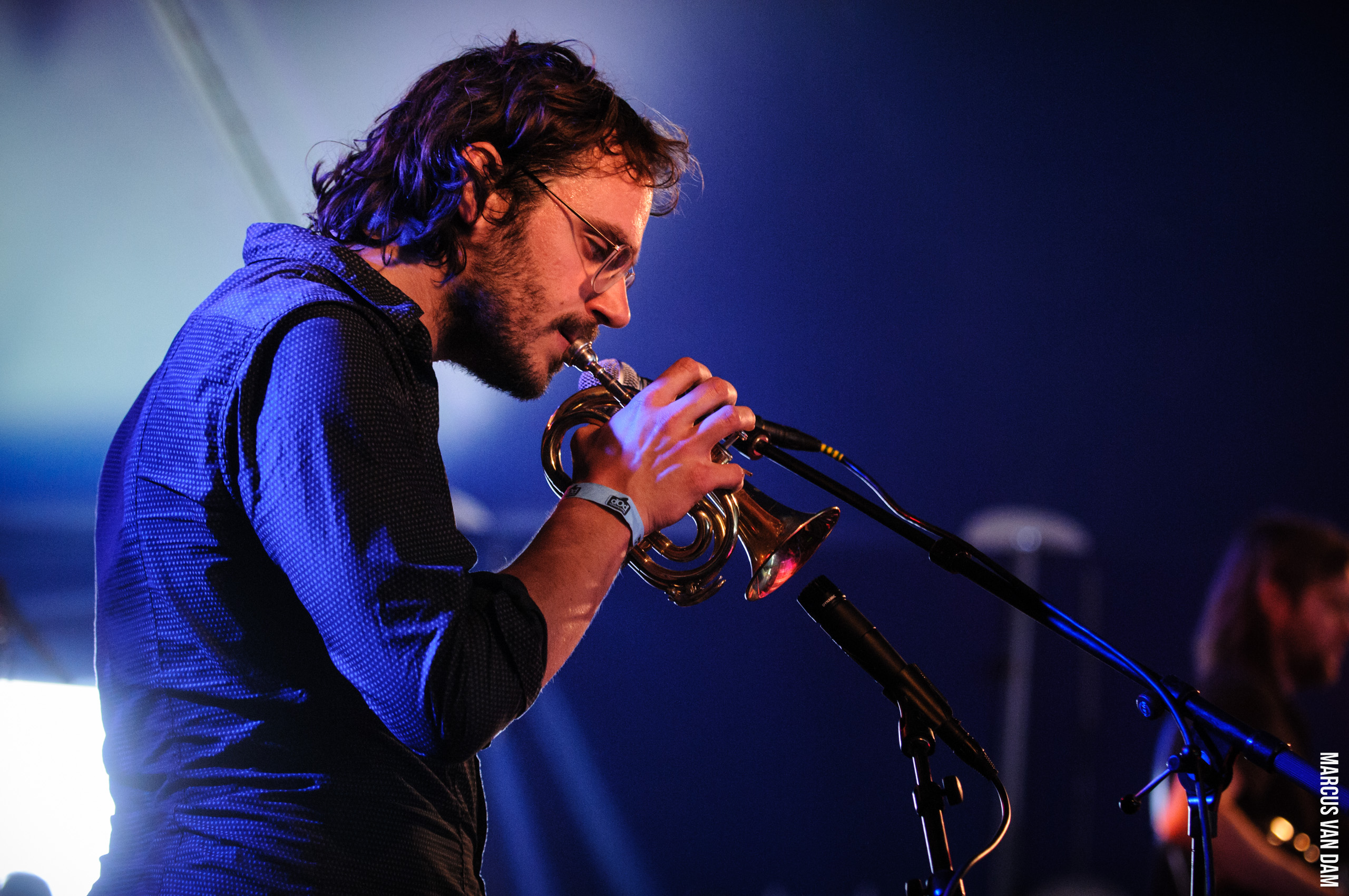 Beeckestijnpop (2014)