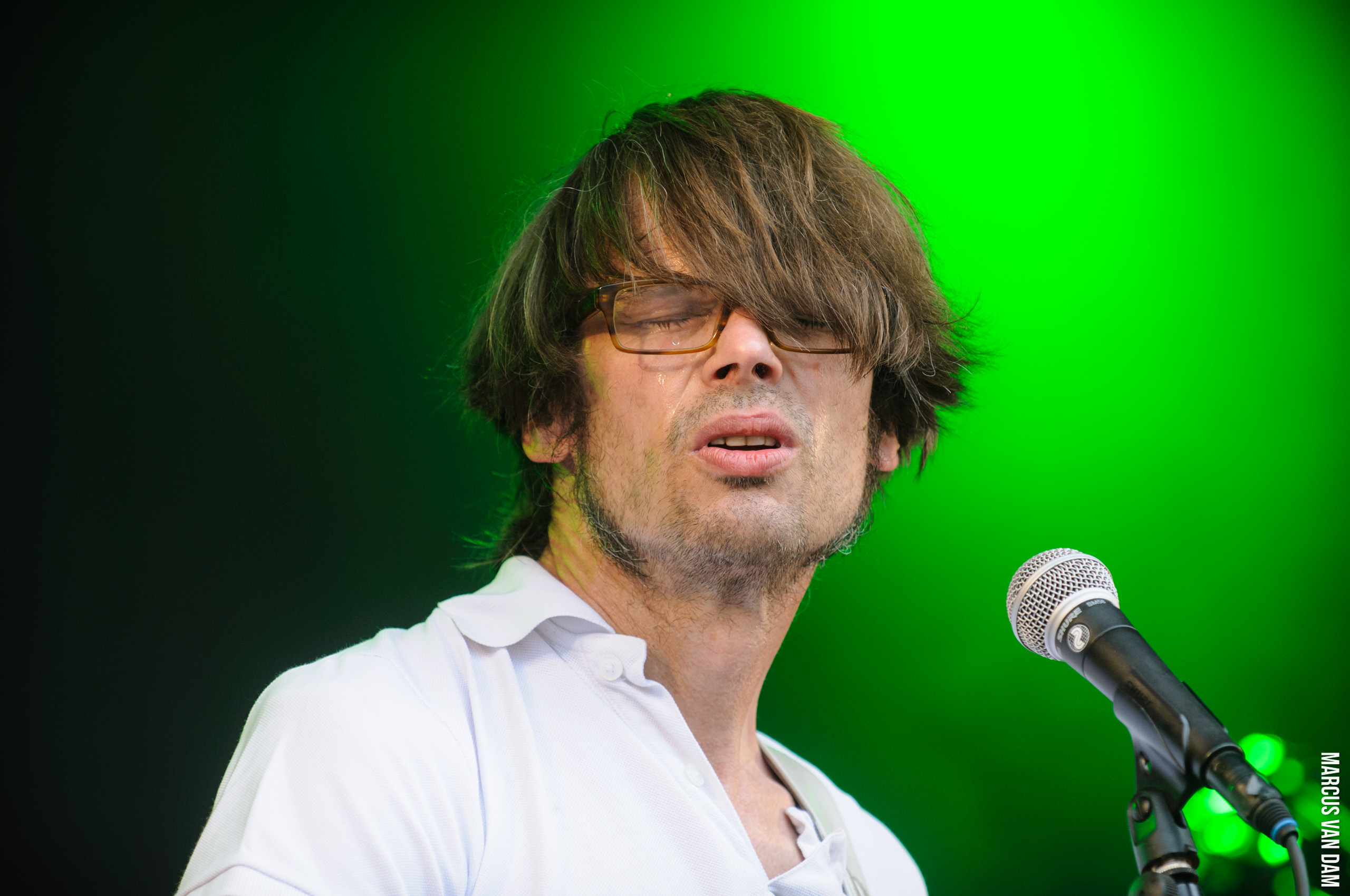 Beeckestijnpop (2014)