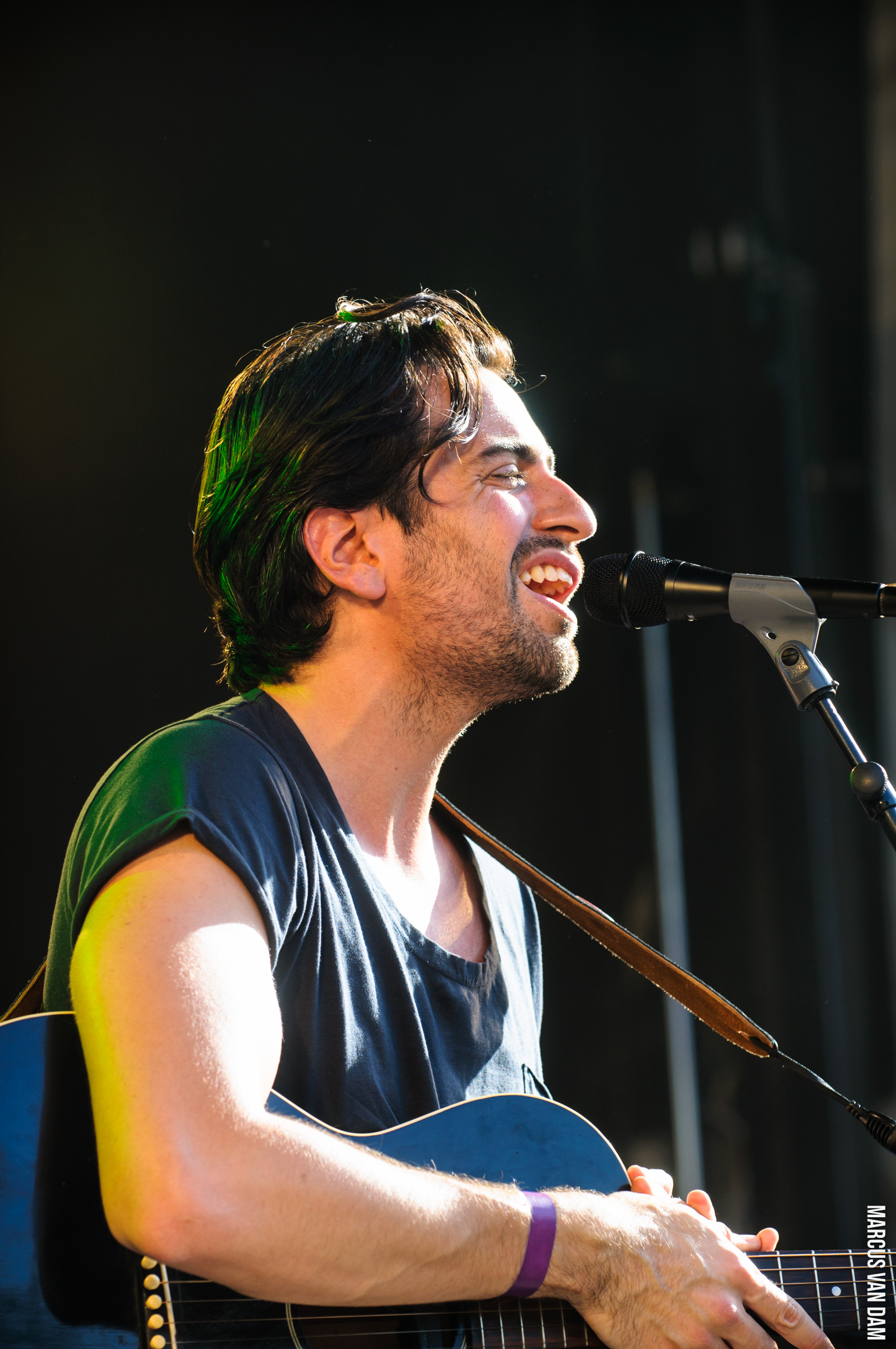 Beeckestijnpop (2014)