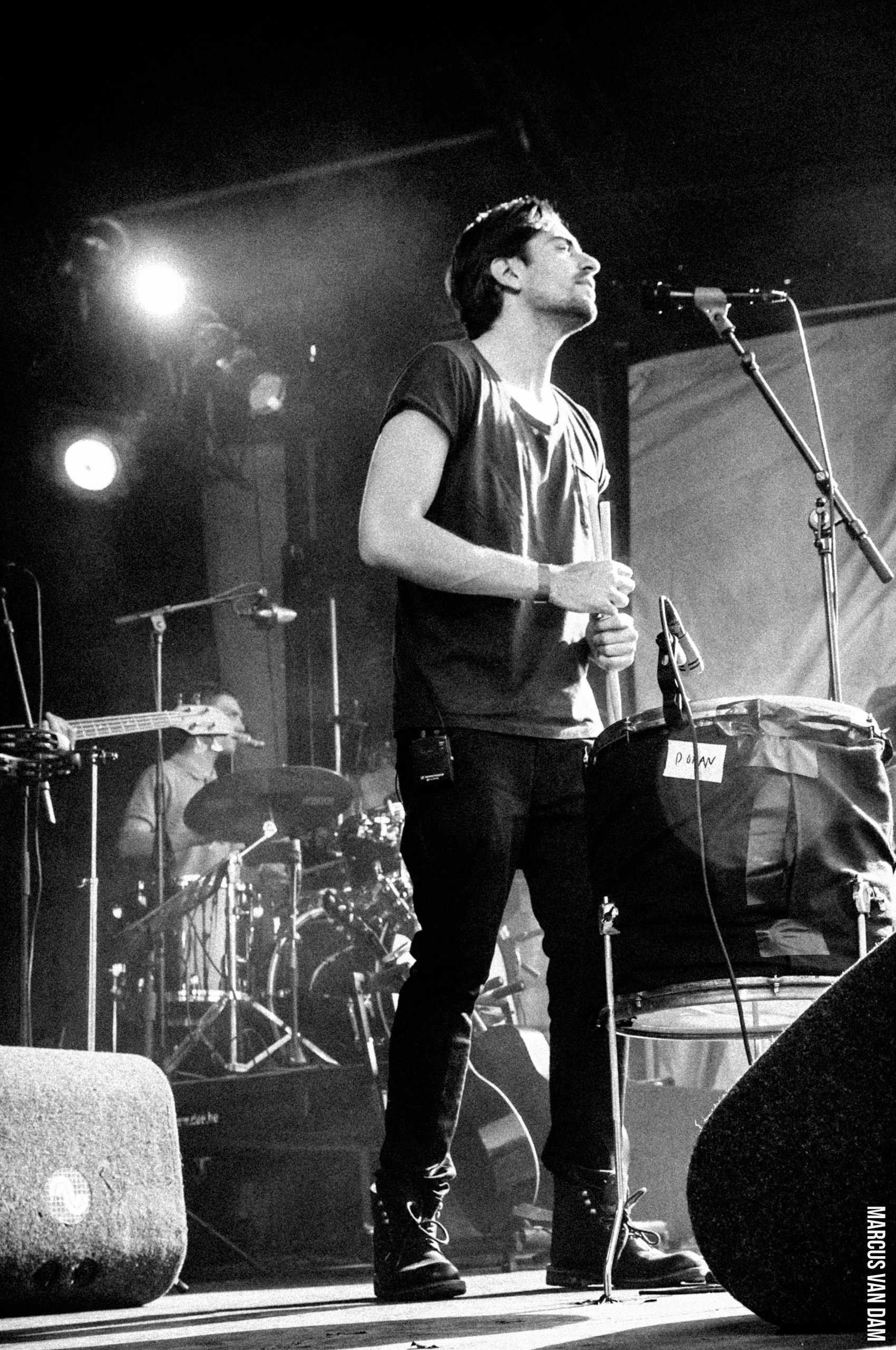 Beeckestijnpop (2014)