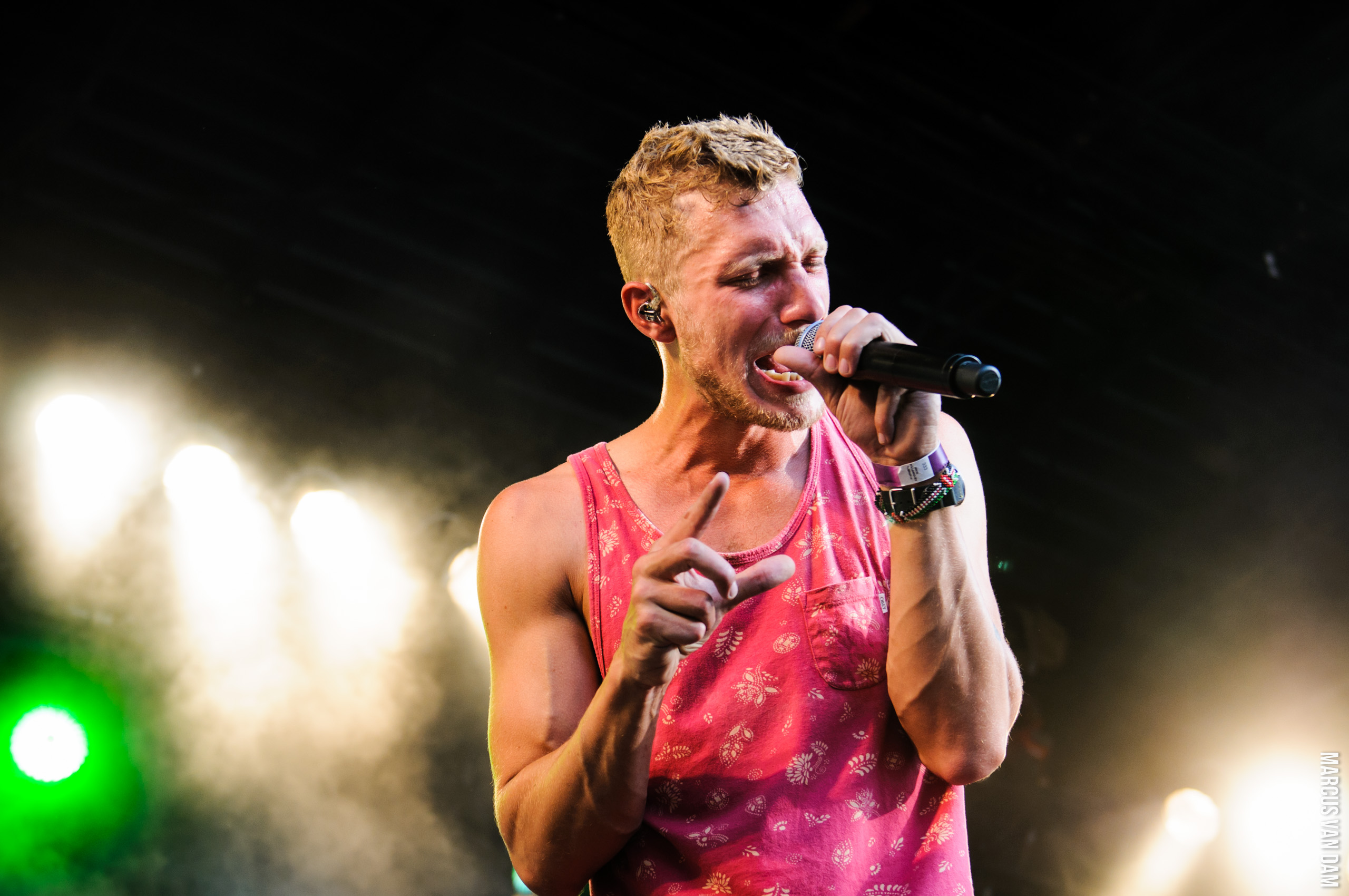 Beeckestijnpop (2014)