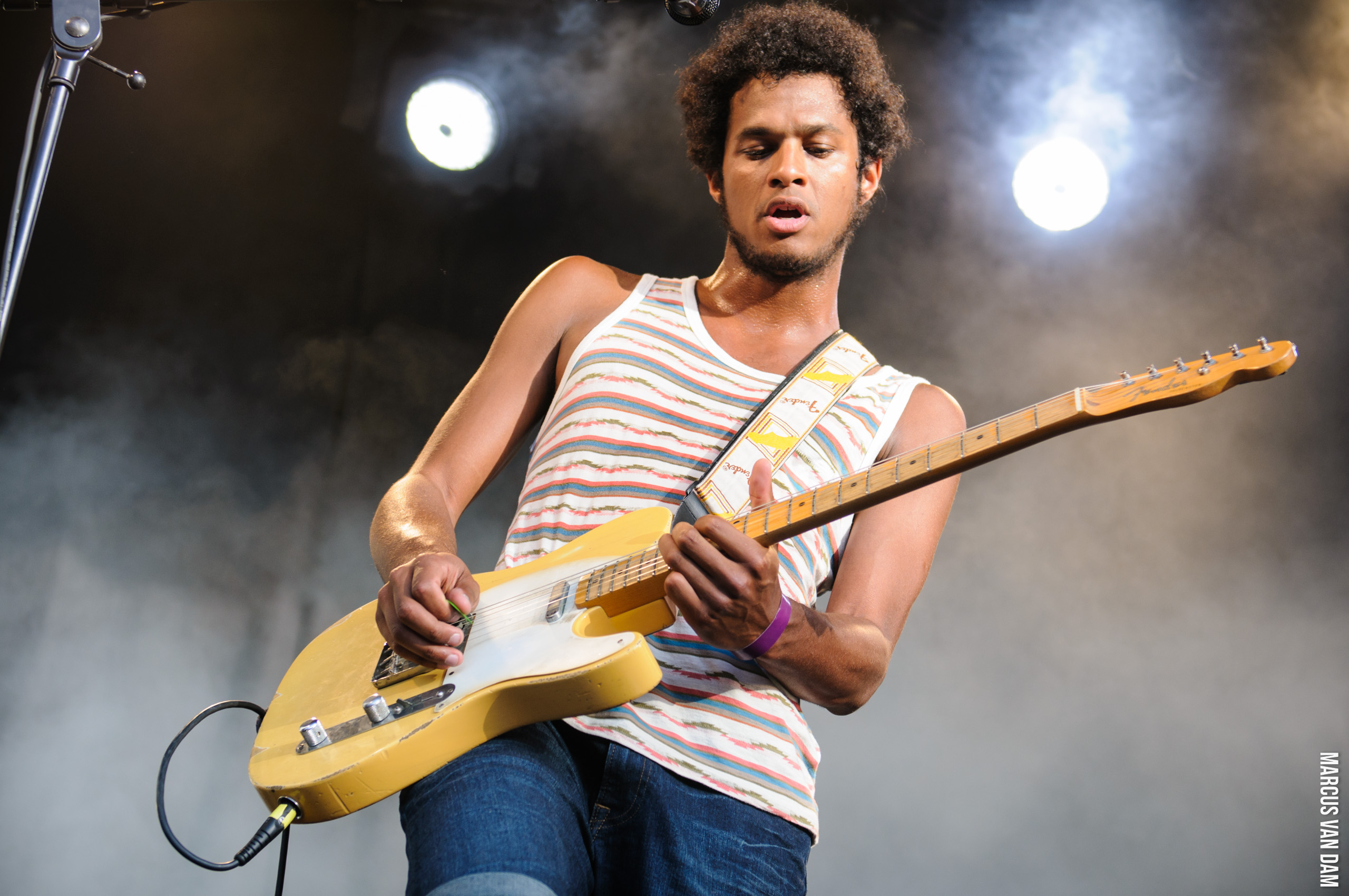 Beeckestijnpop (2014)