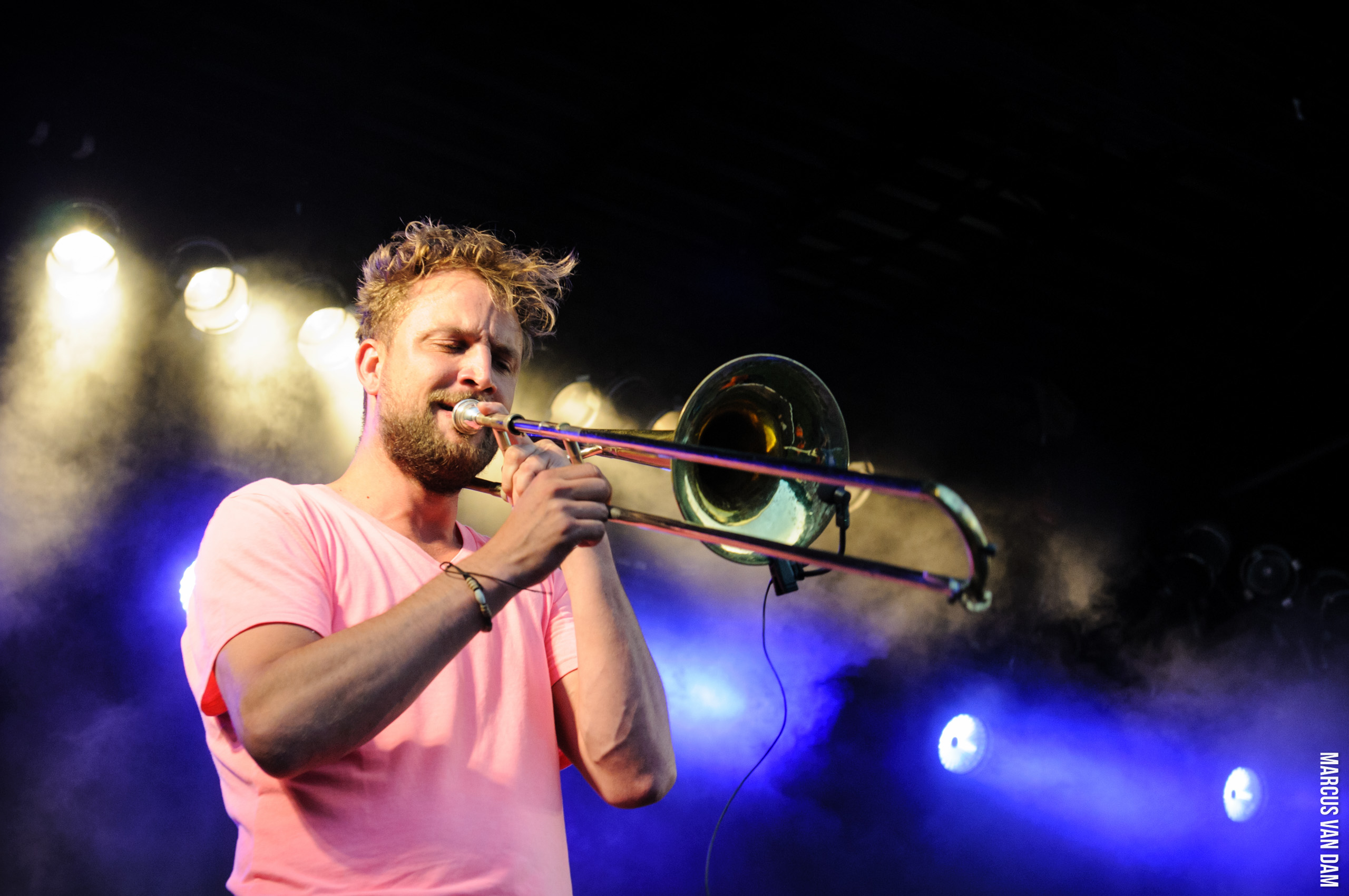 Beeckestijnpop (2014)