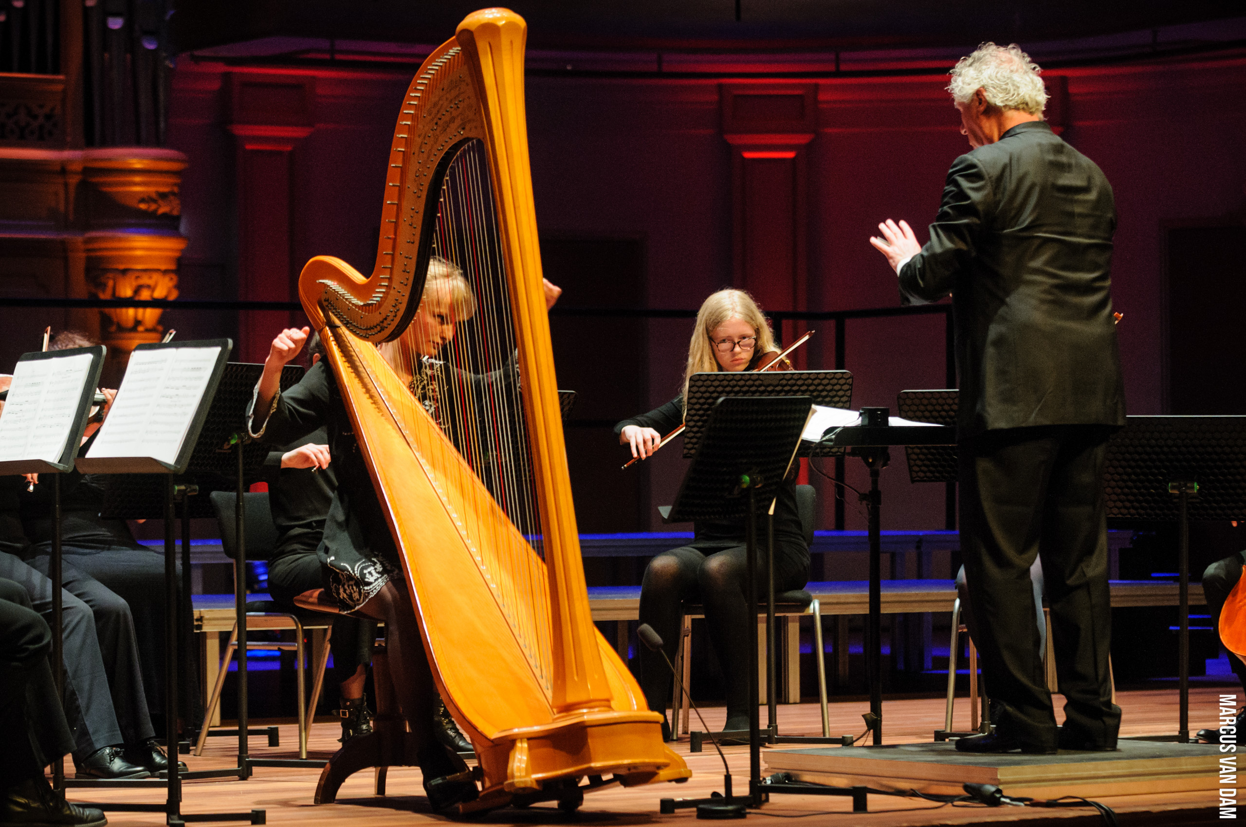 Bevrijdingspop (2021)