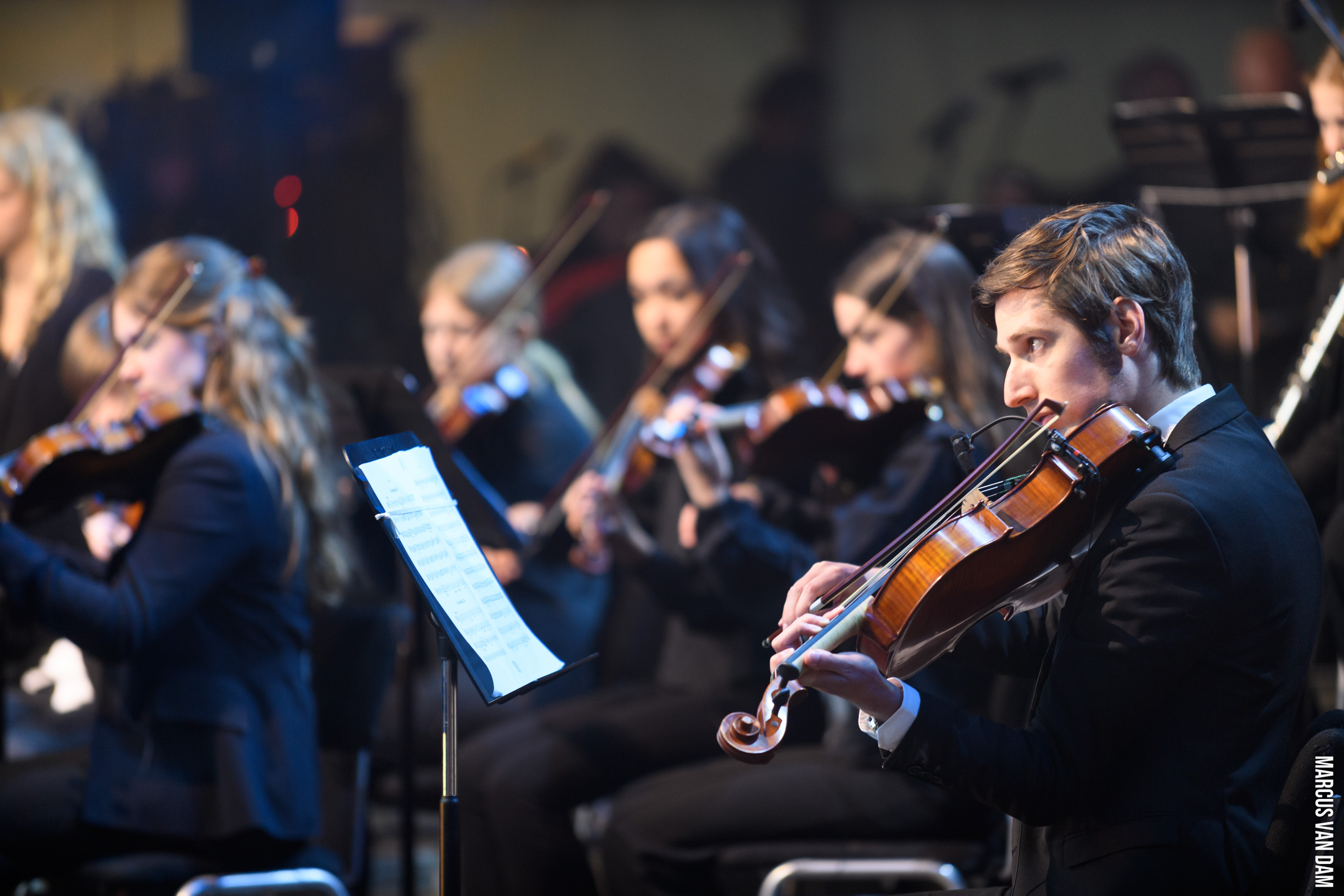 Bevrijdingspop (2024)