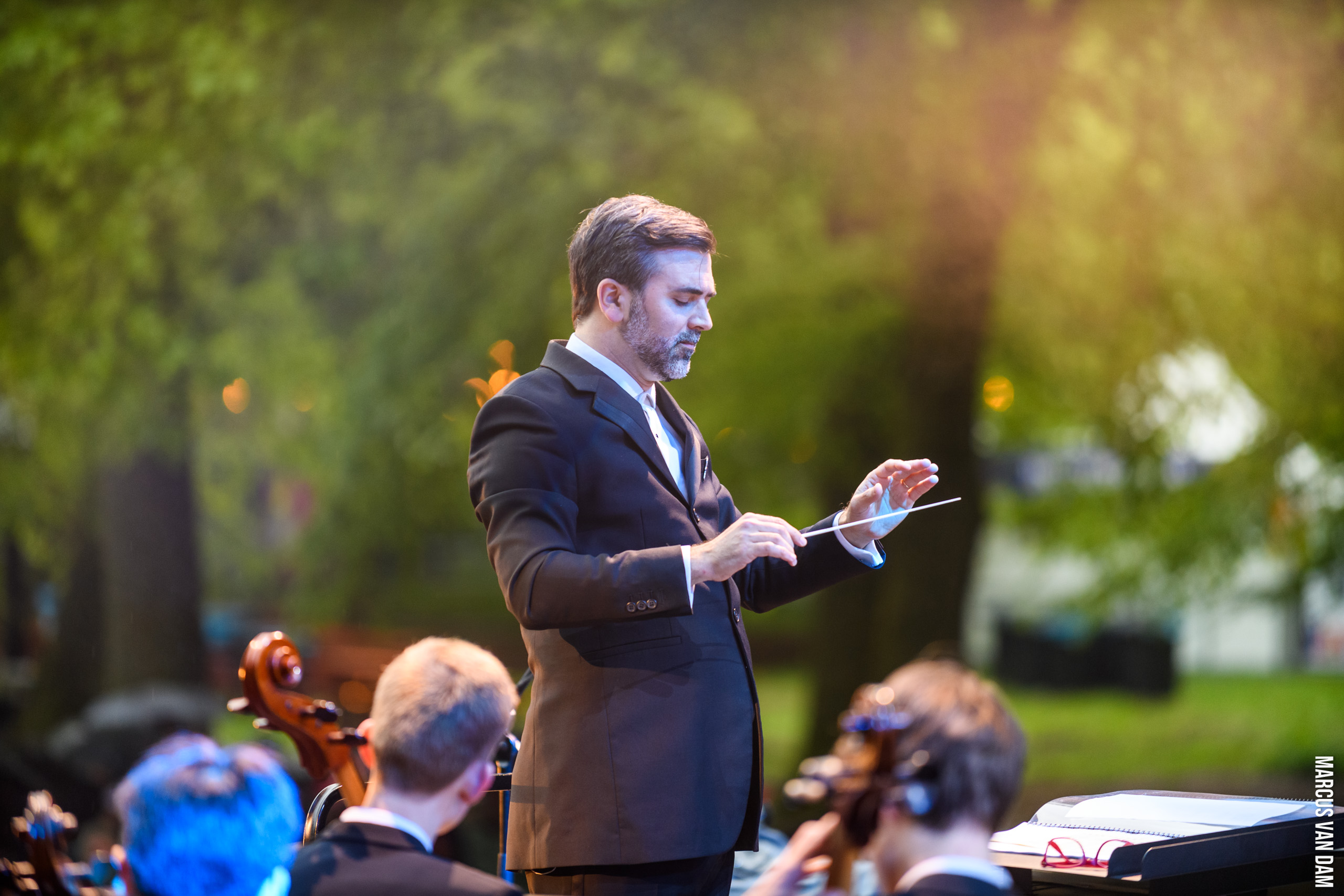 Bevrijdingspop (2024)