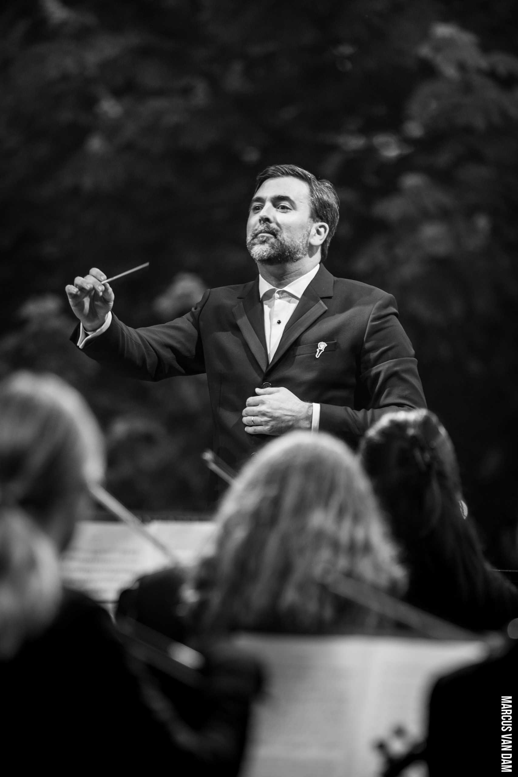 Bevrijdingspop (2024)