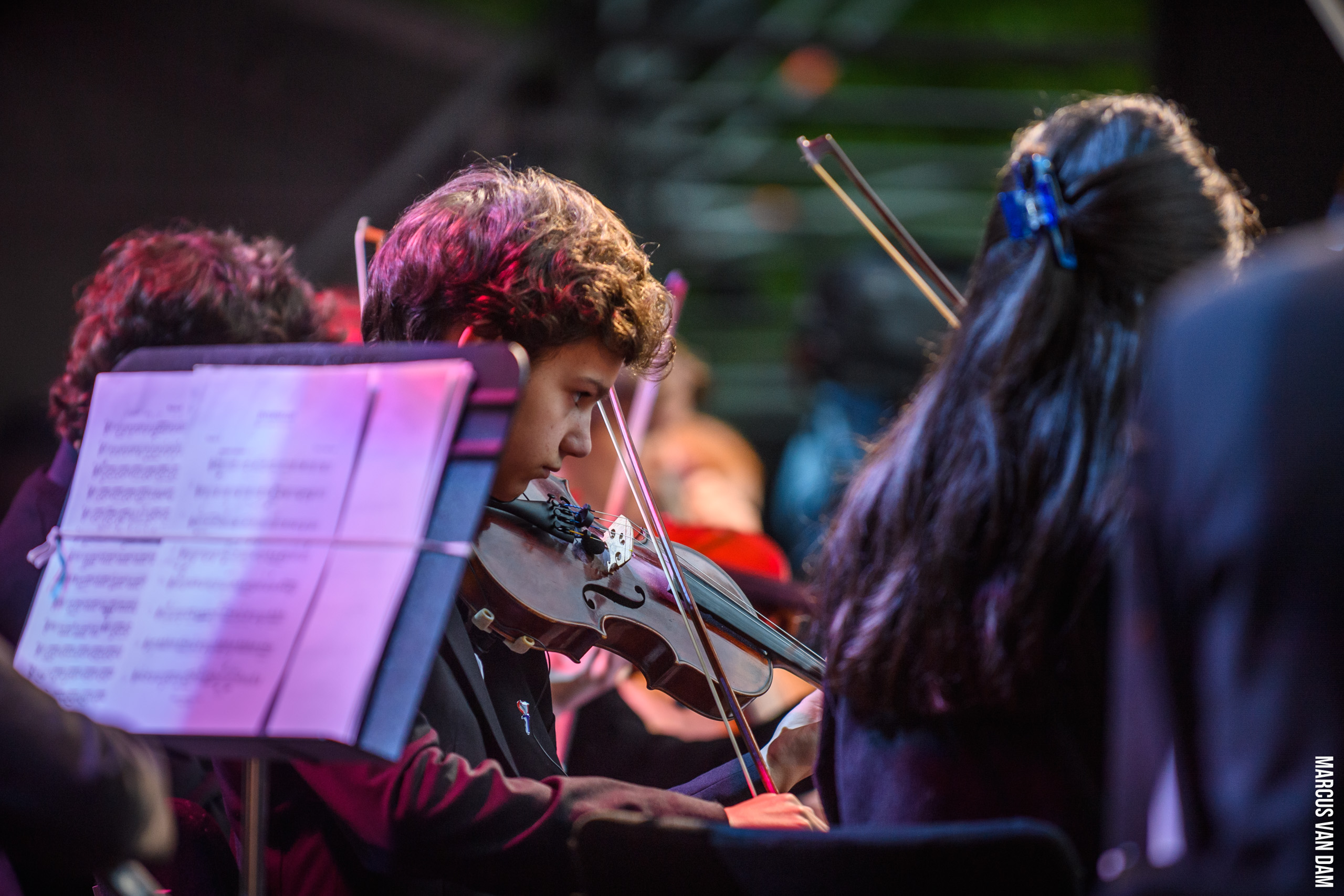 Bevrijdingspop (2024)