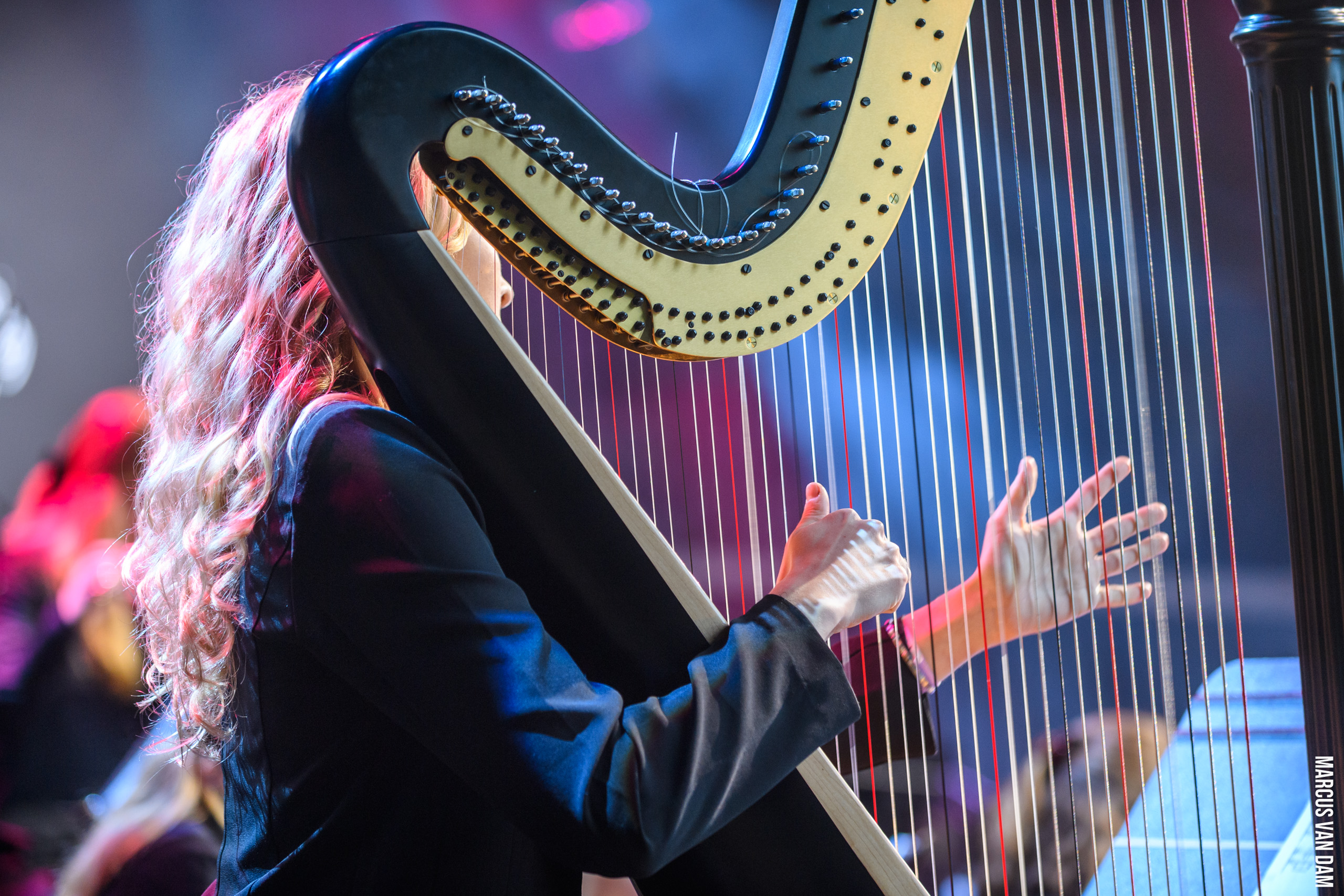 Bevrijdingspop (2024)