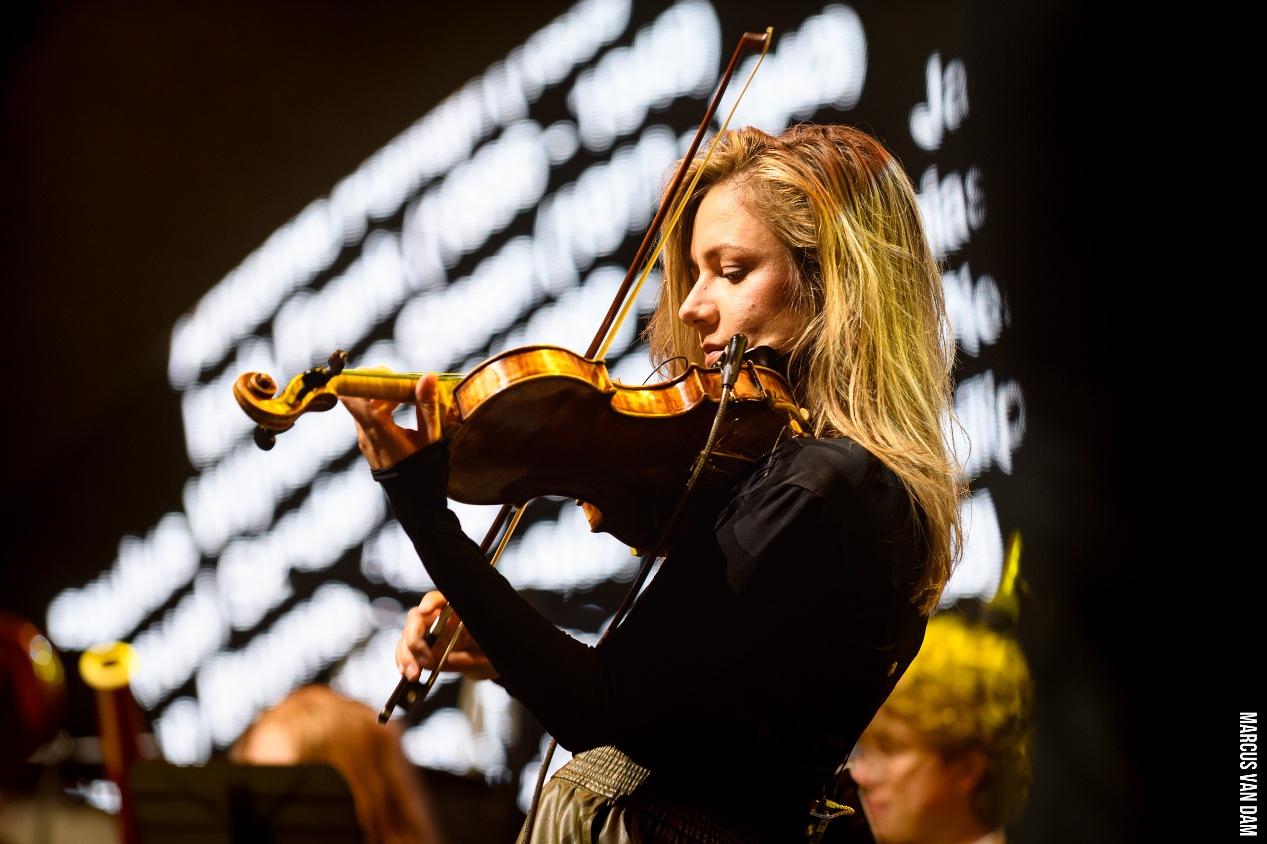 Bevrijdingspop (2024)