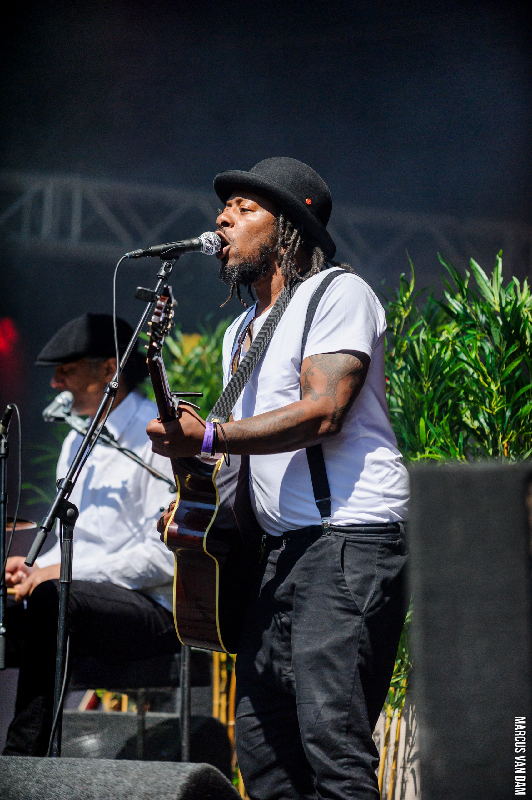 Bevrijdingspop (2024)