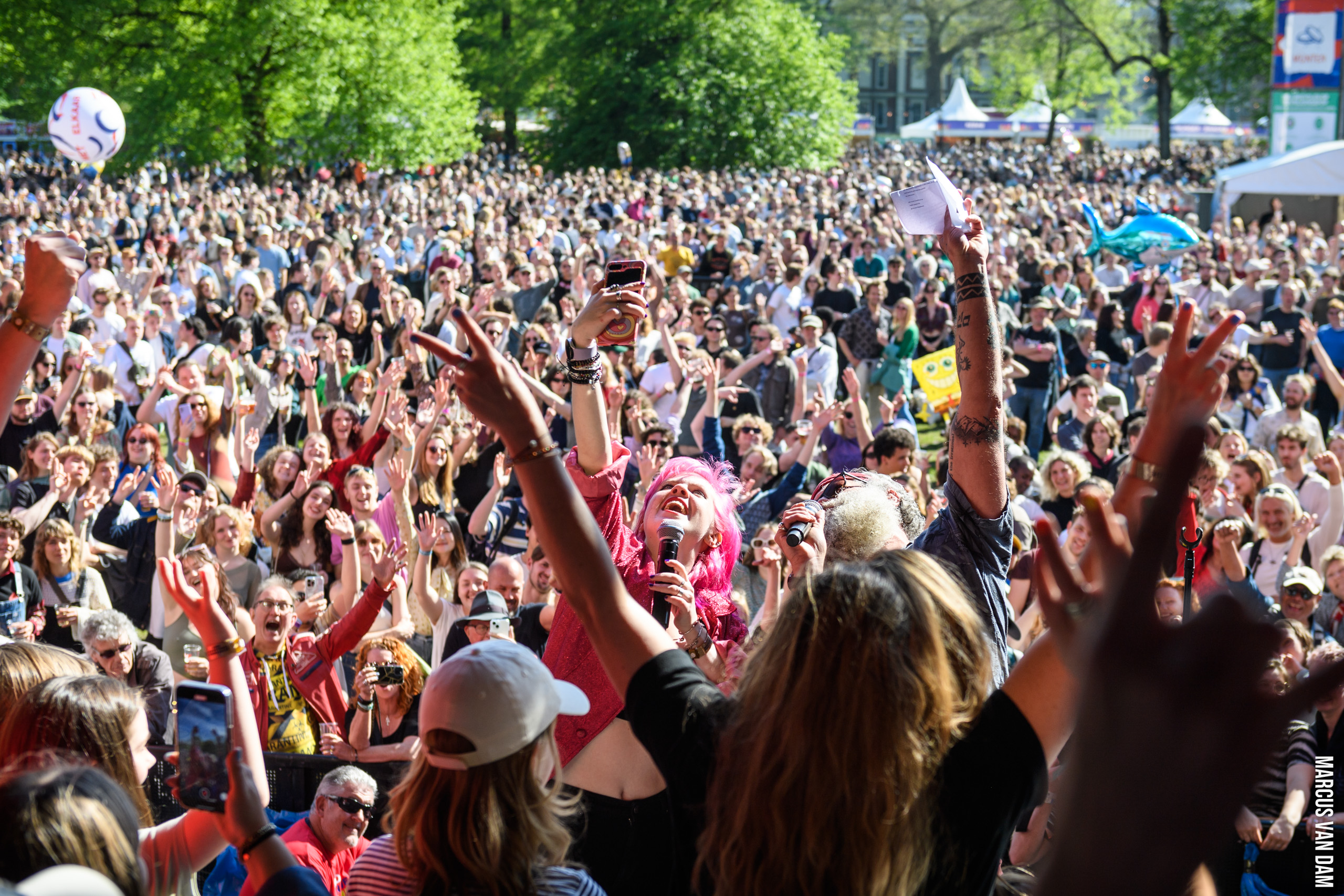 Bevrijdingspop (2024)