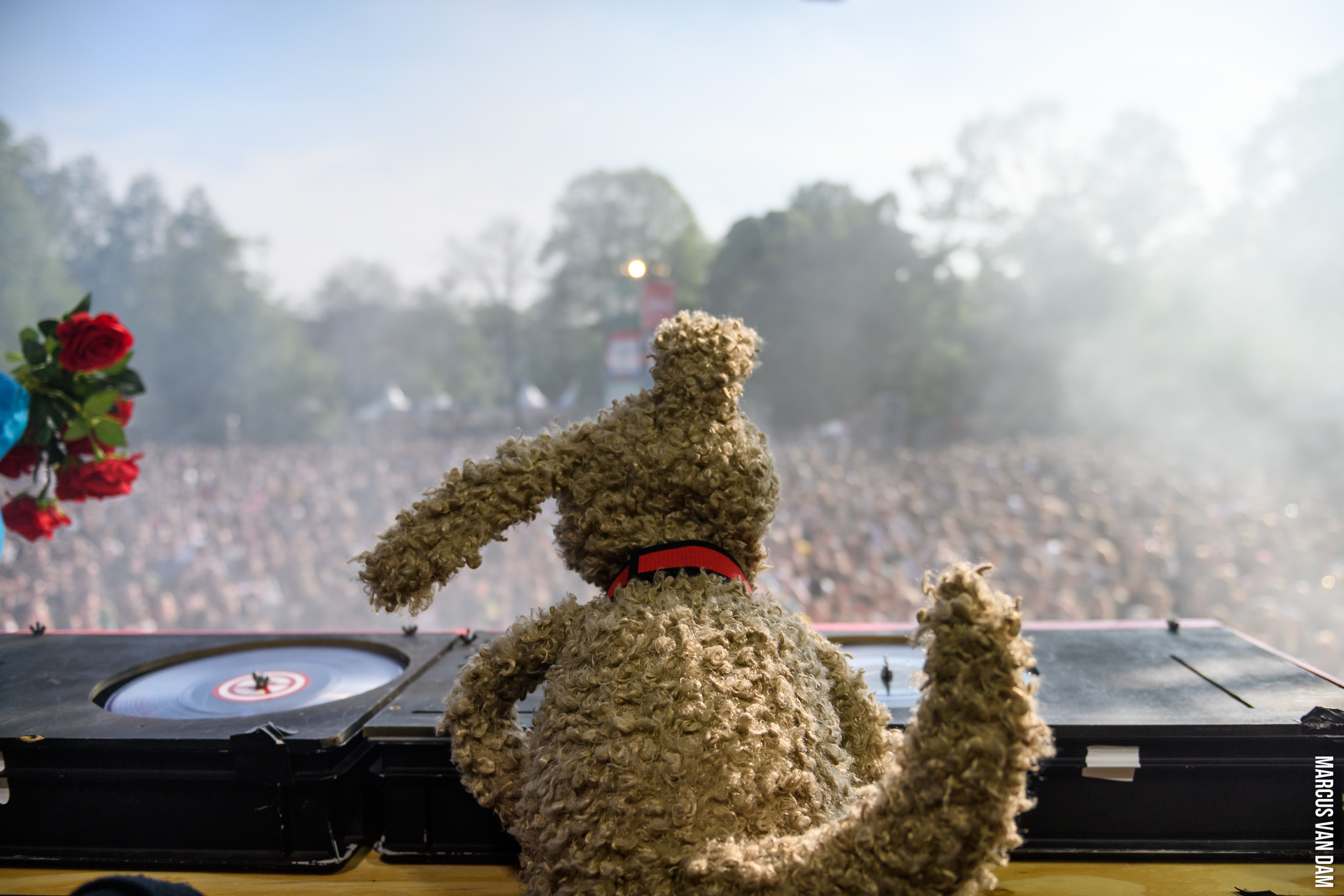 Bevrijdingspop (2024)