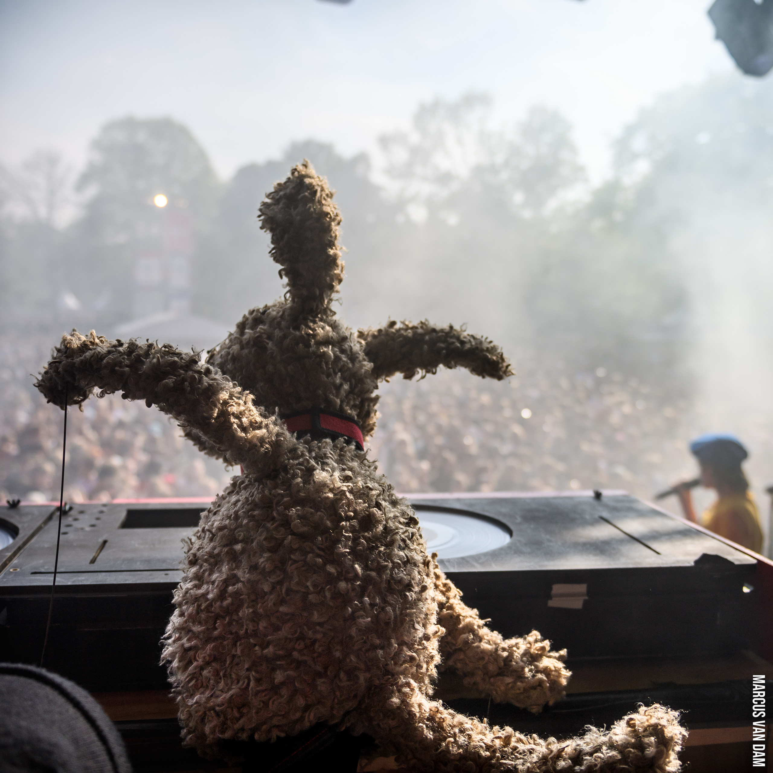 Bevrijdingspop (2024)