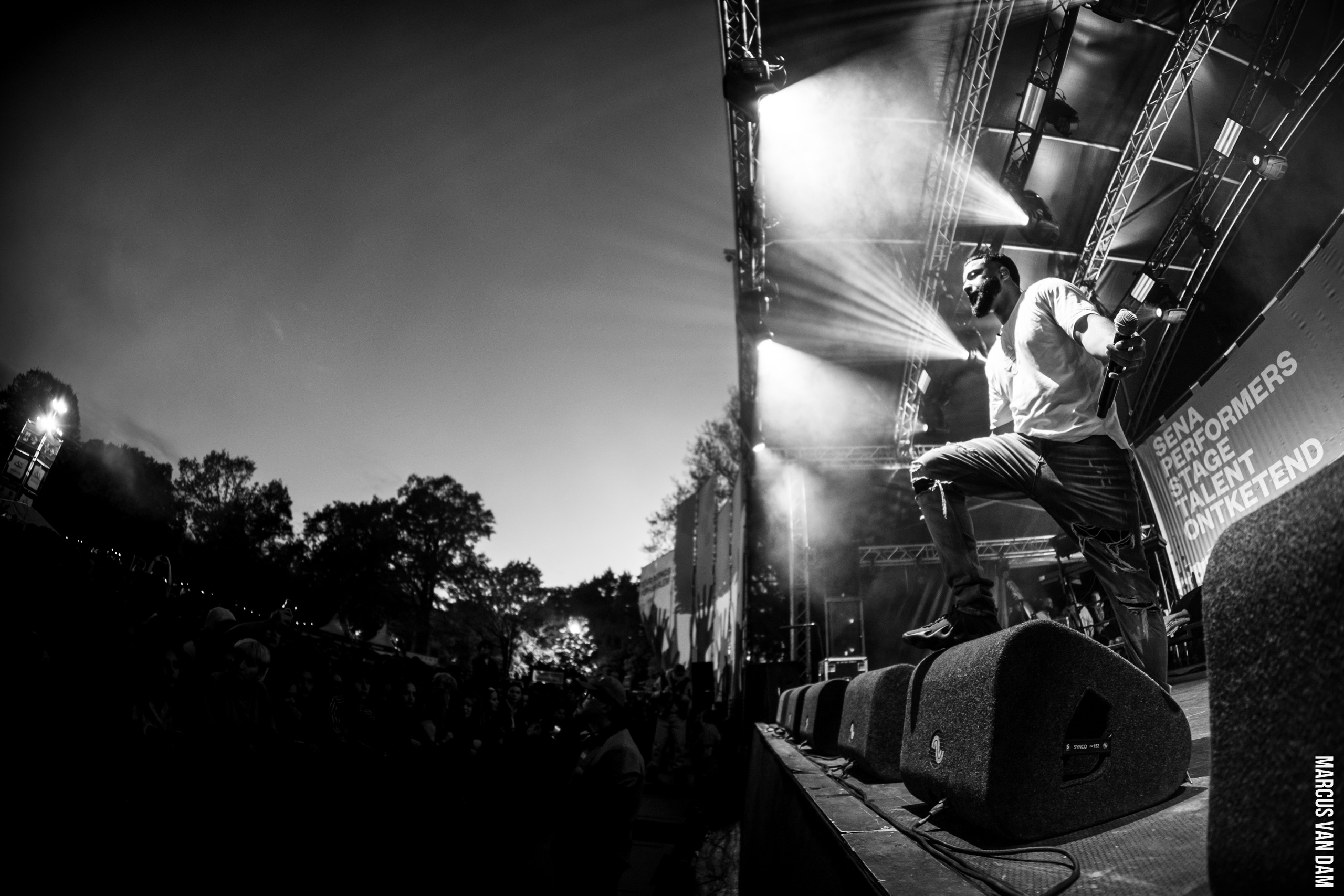 Bevrijdingspop (2024)