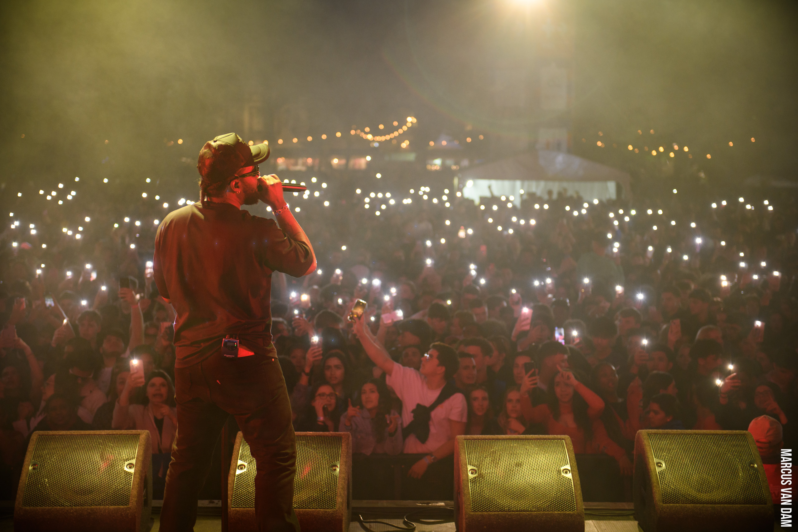 Bevrijdingspop (2024)