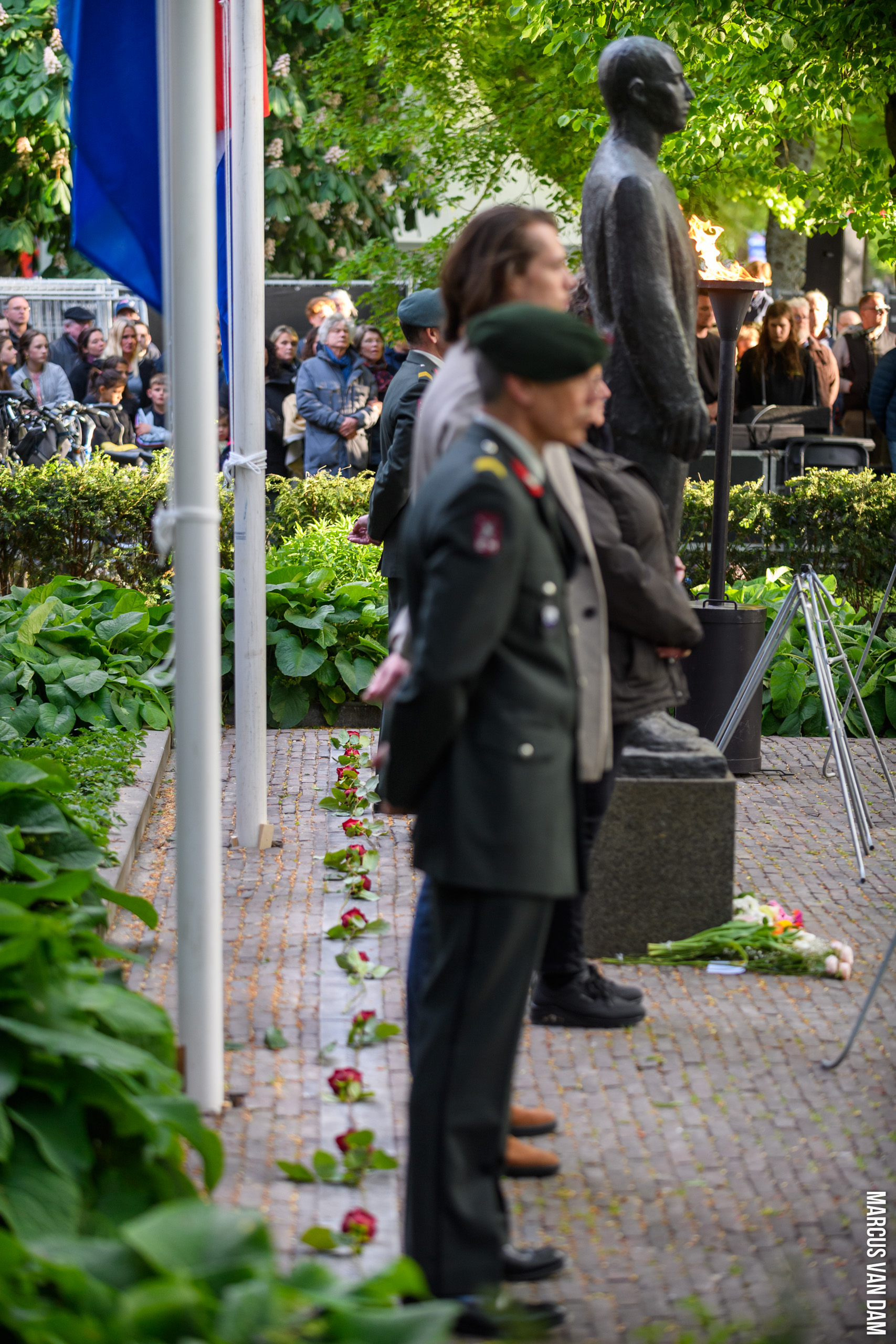 Bevrijdingspop (2025)