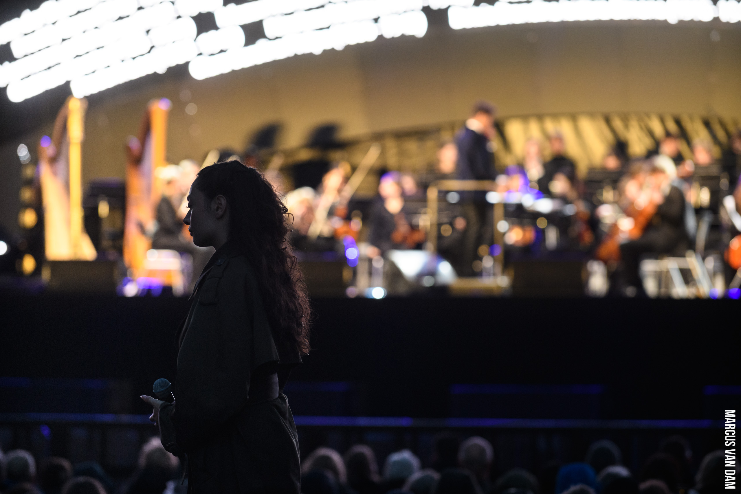 Bevrijdingspop (2025)