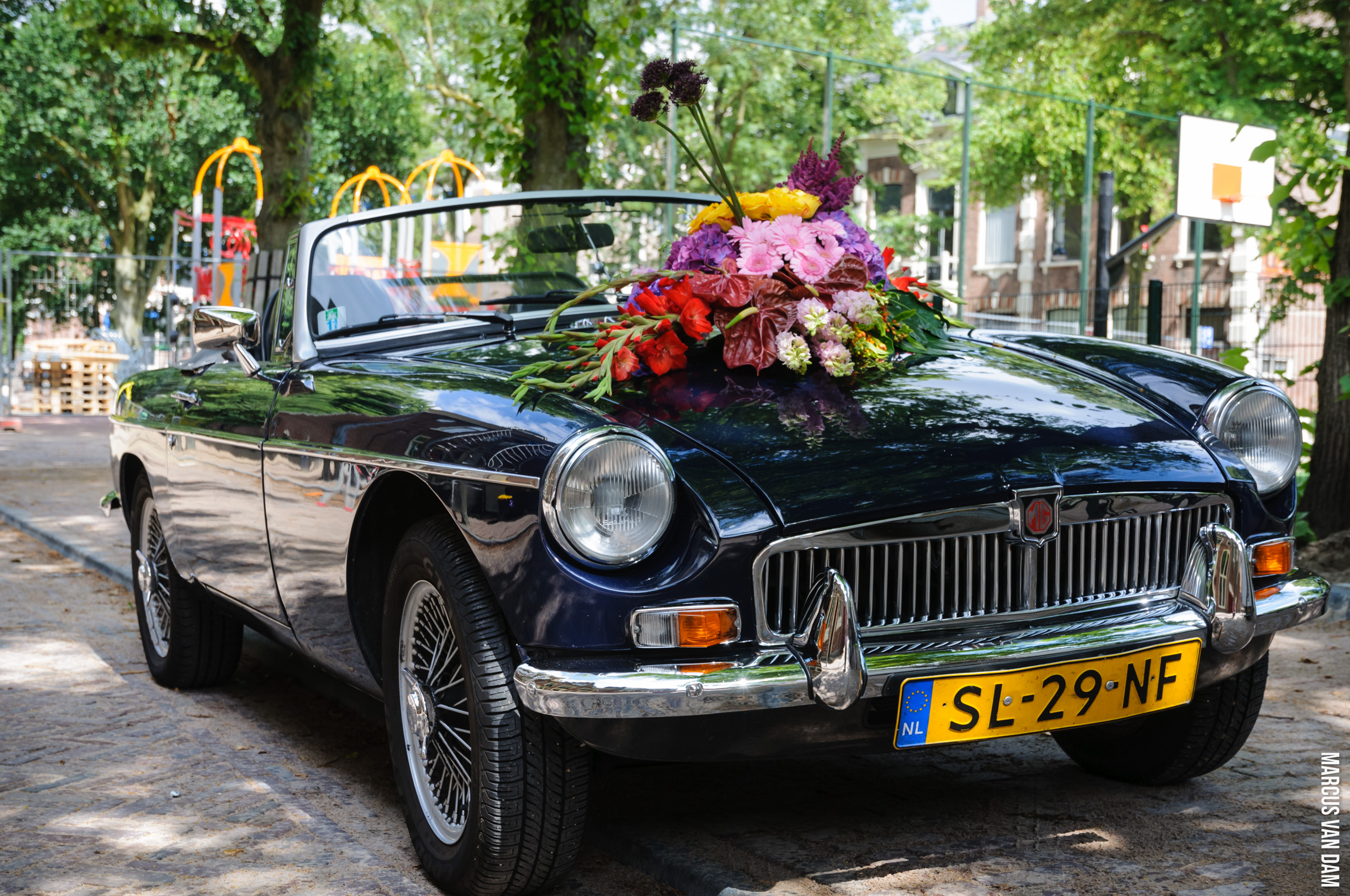 Roze Zaterdag (2012)