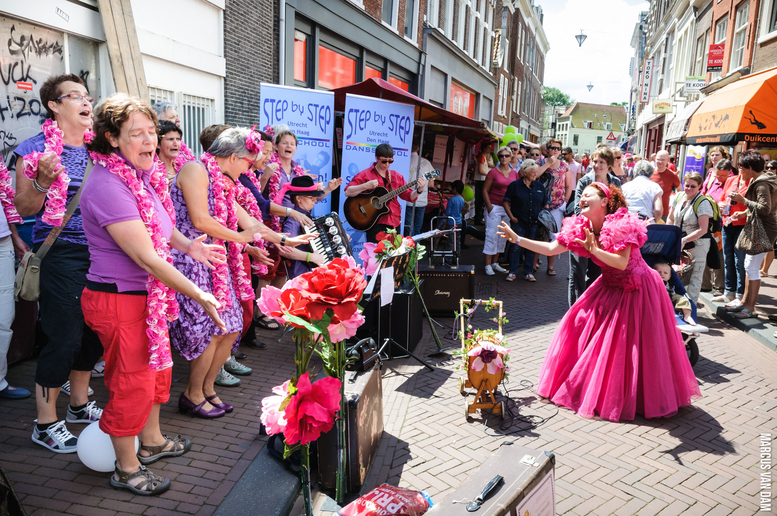 Roze Zaterdag (2012)