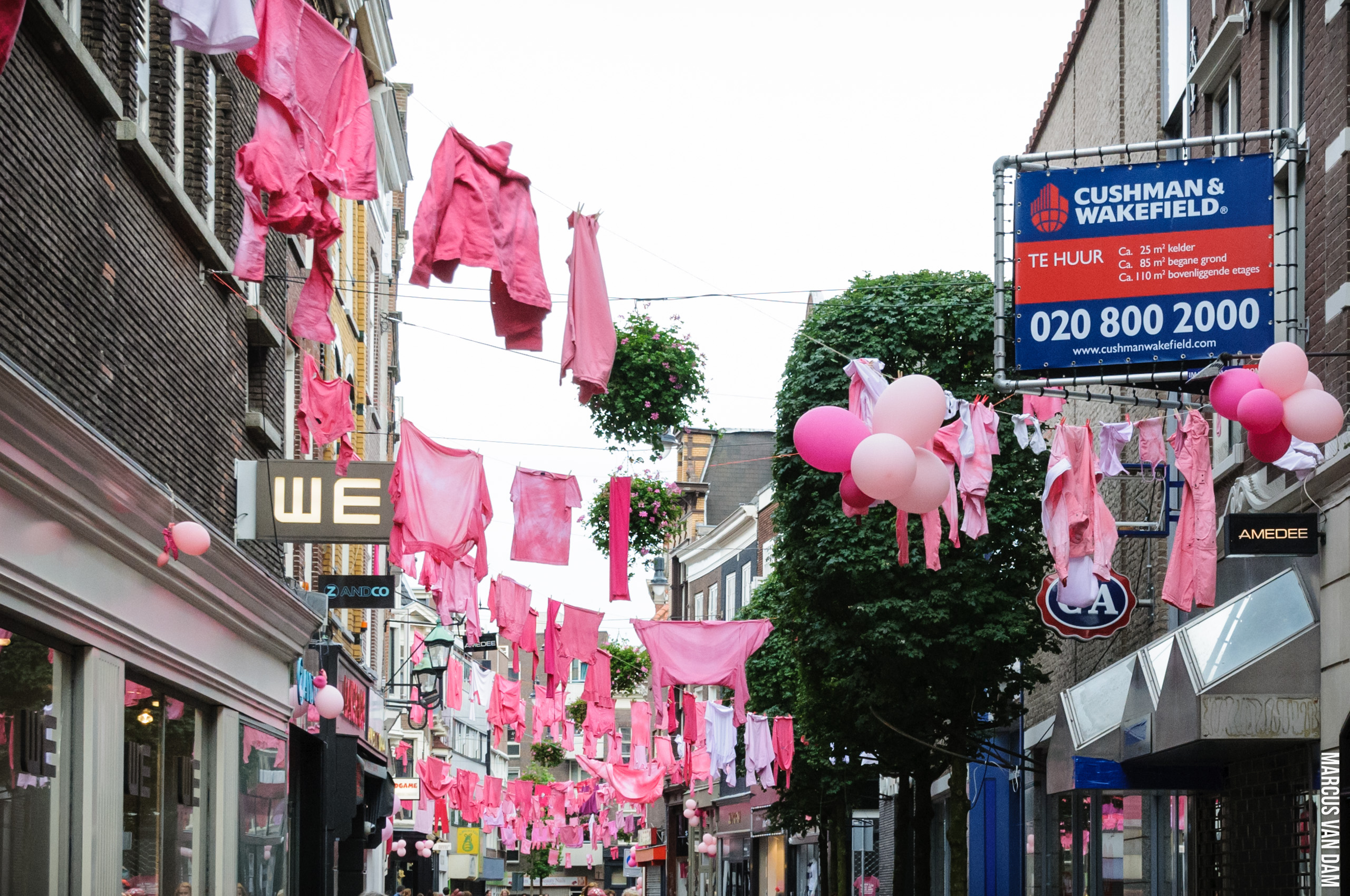 Roze Zaterdag (2012)