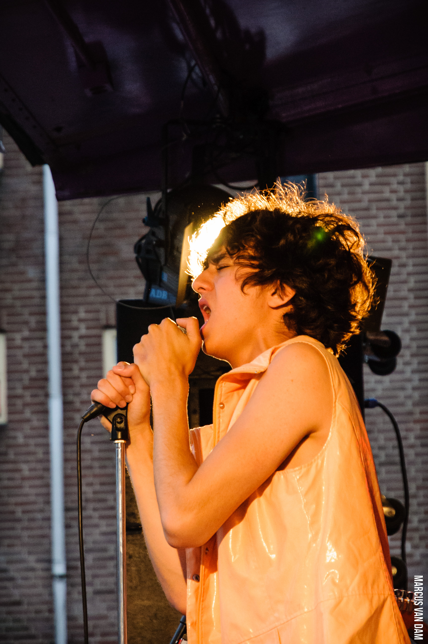 Roze Zaterdag (2012)