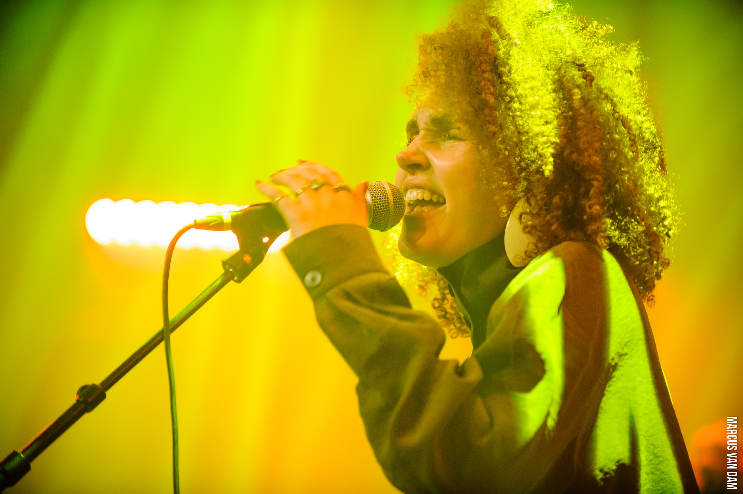 Rob Acda Award: Finale (2025)